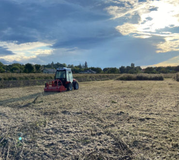 mulčování pozemků traktorem